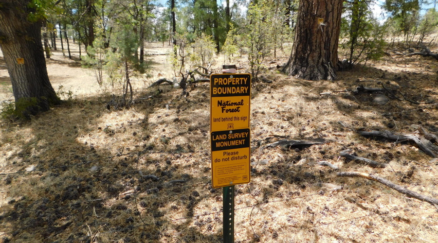 NATIONAL FOREST SIGN