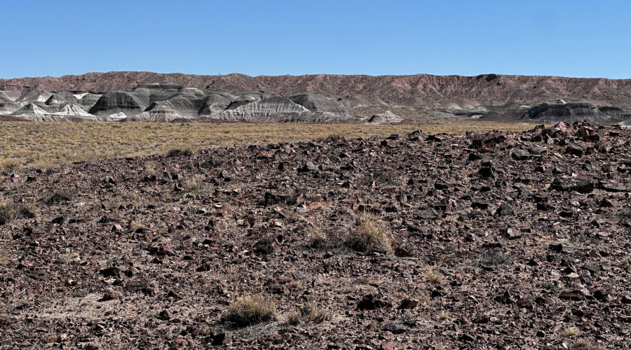 20250917_175738414_iOS