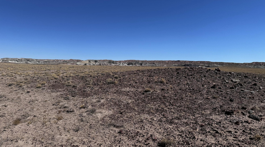 20250917_175742691_iOS