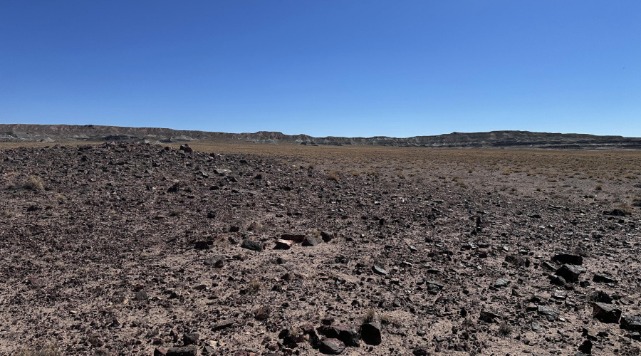 20250917_175745028_iOS