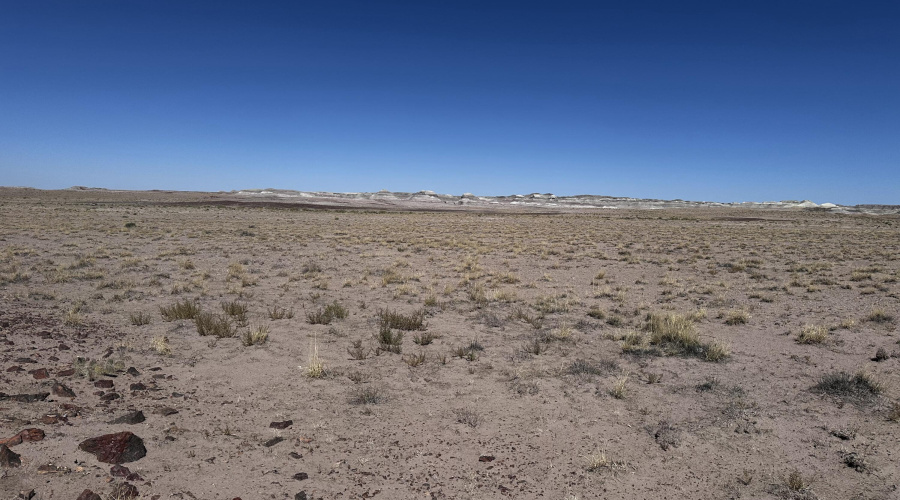 20250917_175747574_iOS