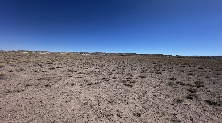 20250917_180043906_iOS