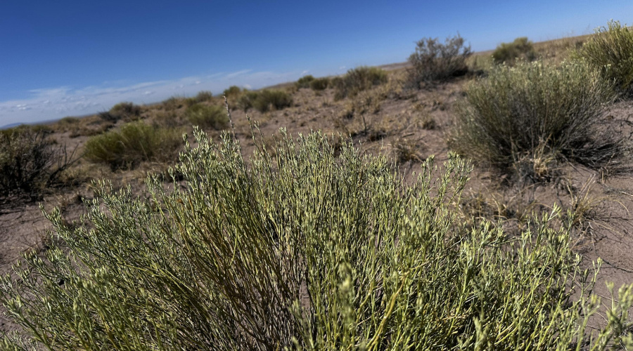 20250917_174006426_iOS