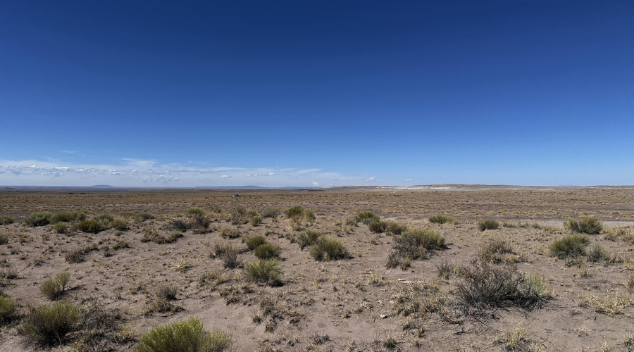 20250917_174010073_iOS