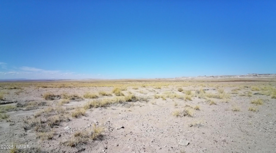 20250917_181812184_iOS