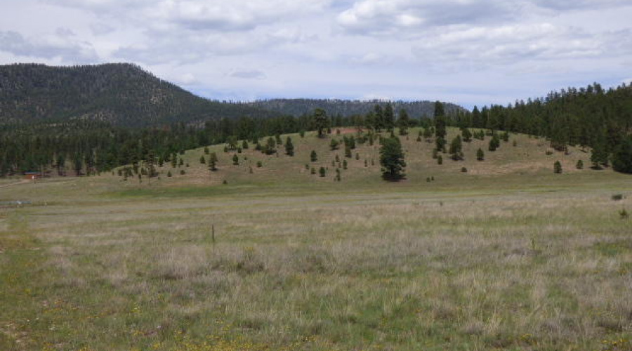 Lot 23 The Ranch at Alpine