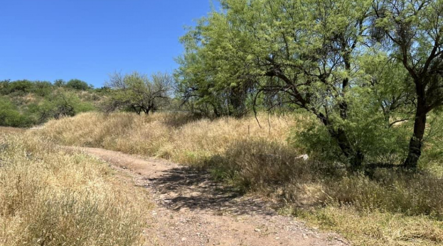 Tonto Basin vacant land on Rodeo