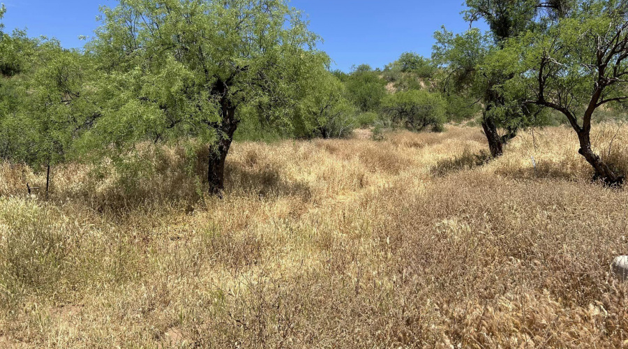 vacant land on Rodeo in Tonto Basin AZ