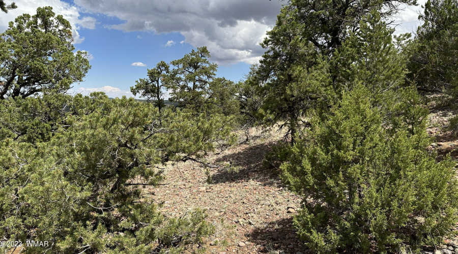 35716 Sr 61, sloped areas