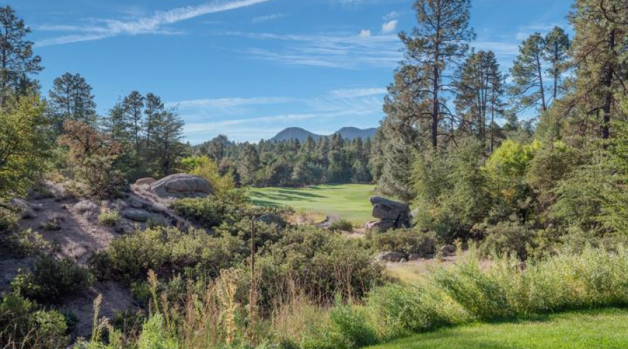 CHAPARRAL PINES GOLF