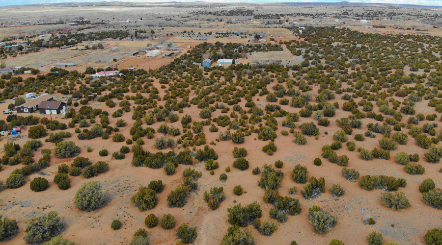 North along West Property Line