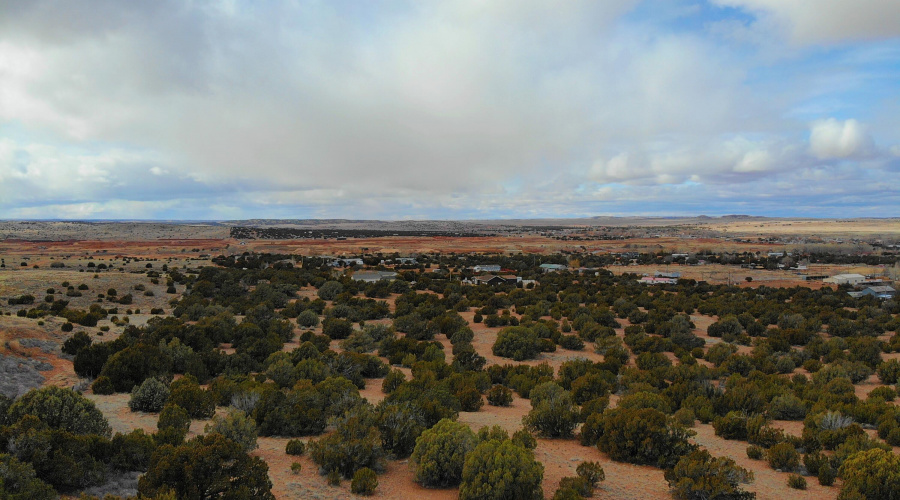 West along South Property Line