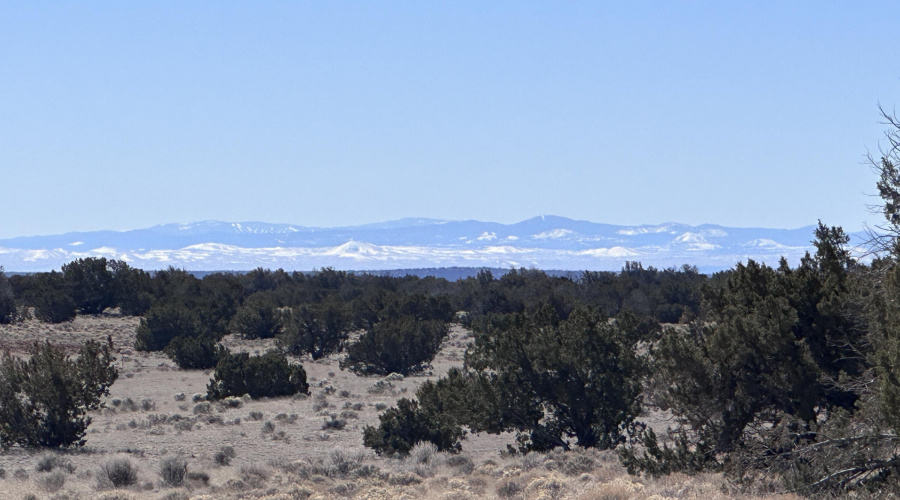 Distant Views of the White Mountains