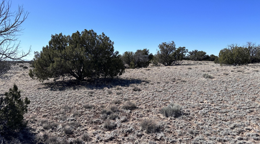 -004Q 10 acres on N2700