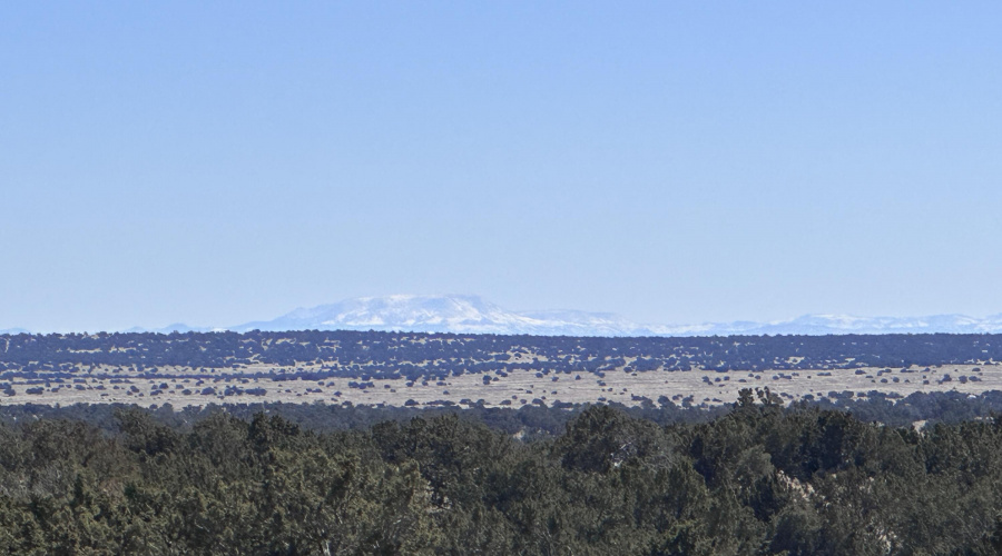 Escudilla Mountain to the South East