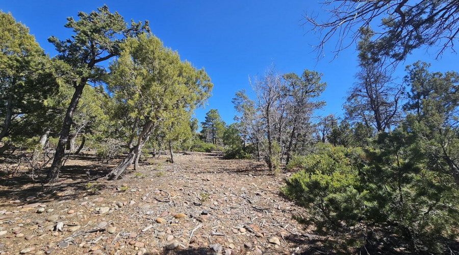 008_1711 S Canyon Ridge Trail