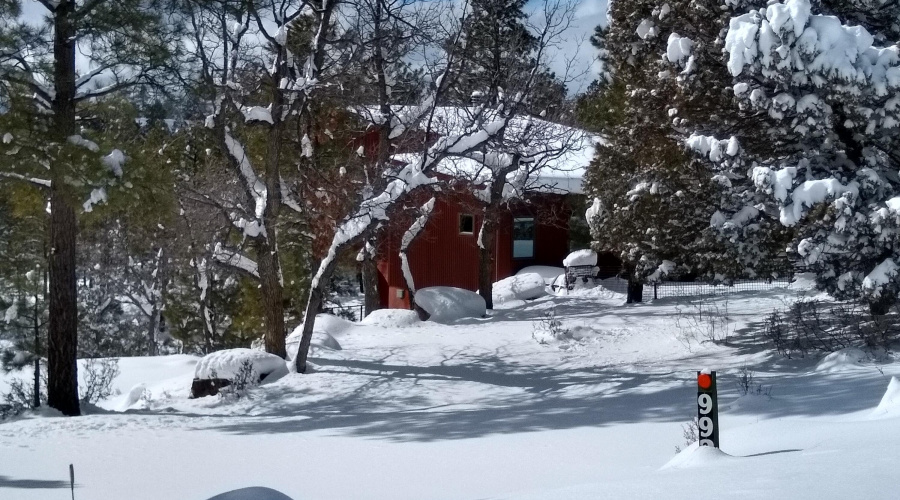 Cabin in Snow - Drive Way View