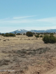 Vacant land for sale in Concho AZ