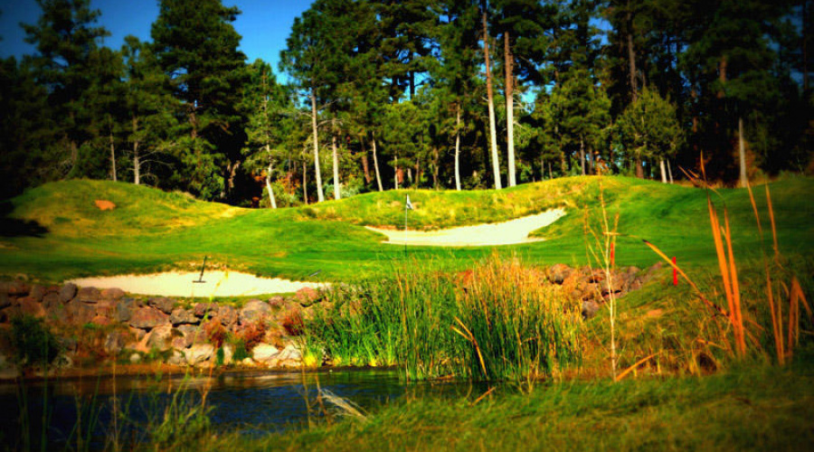 Golf Course at the Prestigious Torreon G