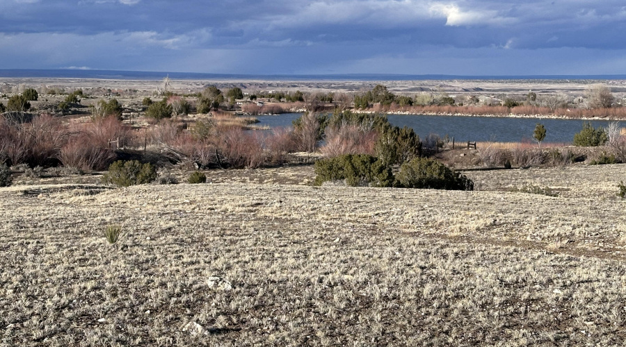 View from -002D towards Patterson Ponds