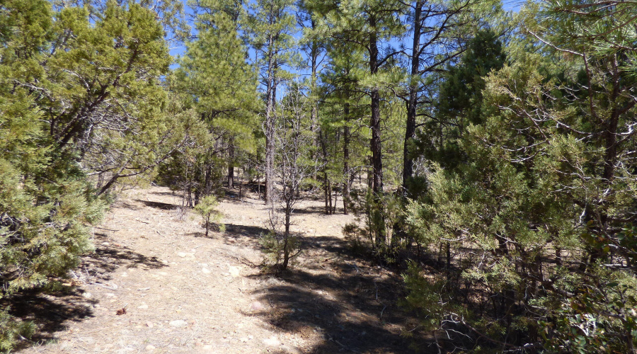 2451 S Hidden Ridge Trail