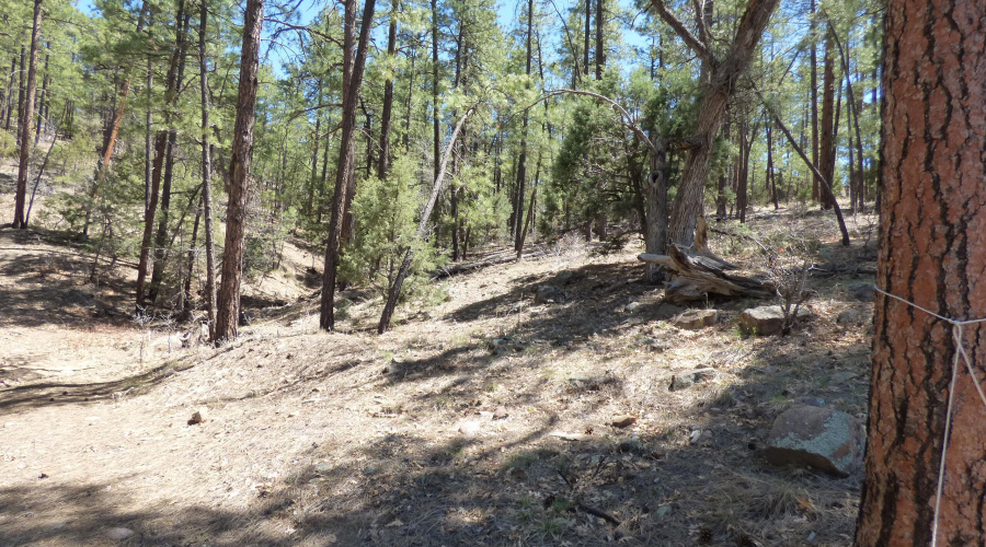 2451 S Hidden Ridge Trail (50)