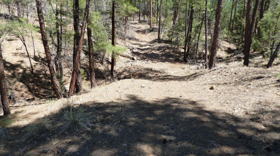 2451 S Hidden Ridge Trail (49)