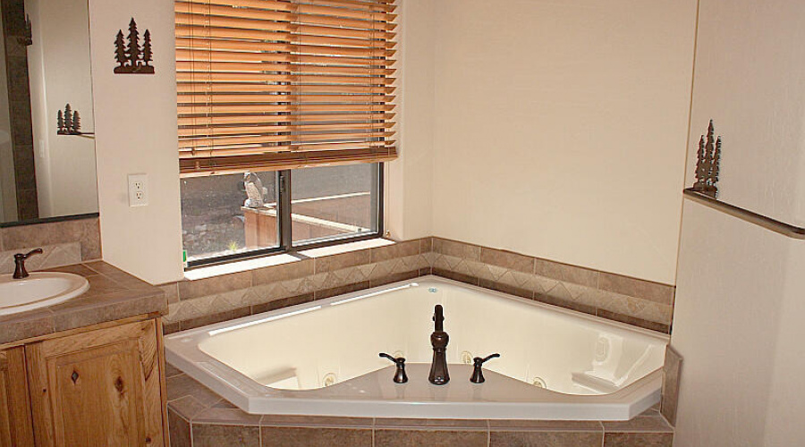 Jacuzzi Tub in Master