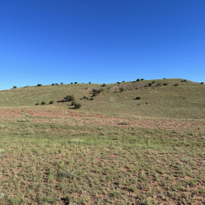 View of hillside and valley floor
