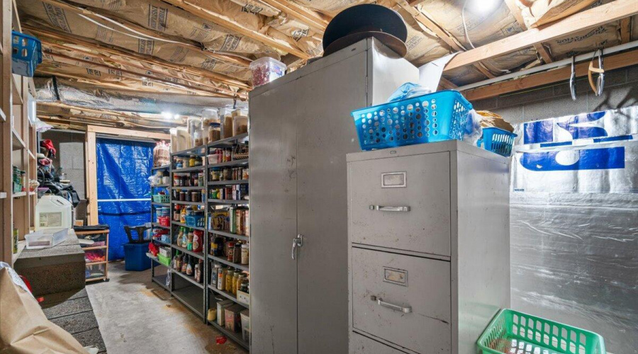 35-Basement storage