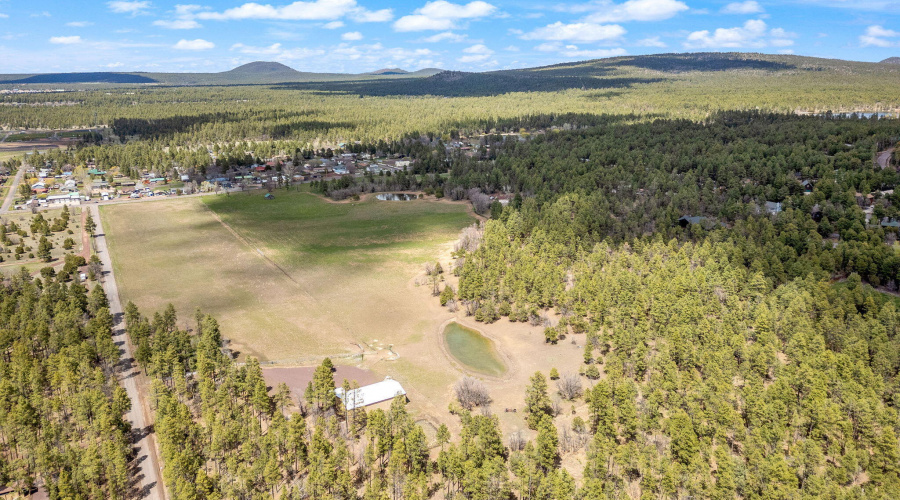 931WWoodlandLakeRd-Pinetop-AZ-11