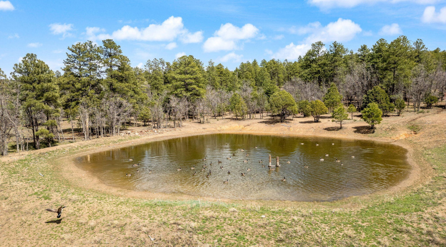 931WWoodlandLakeRd-Pinetop-AZ-7