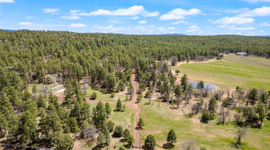 931WWoodlandLakeRd-Pinetop-AZ-5