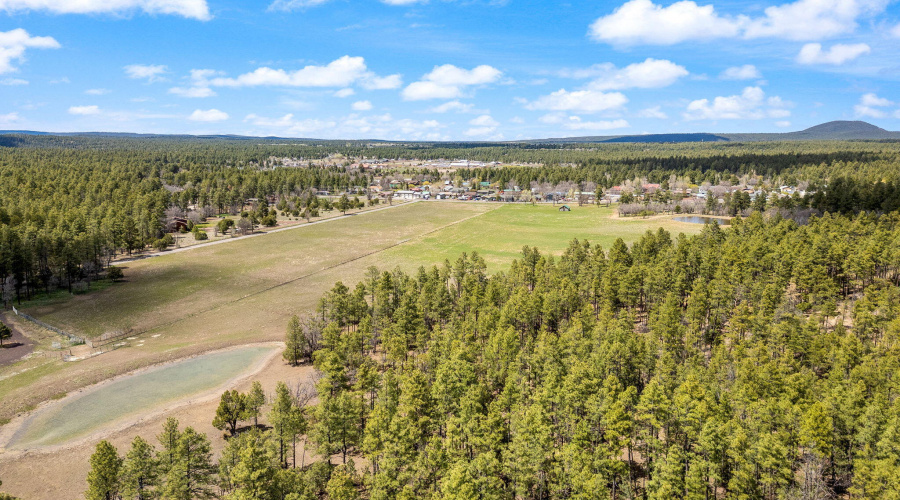 931WWoodlandLakeRd-Pinetop-AZ-13