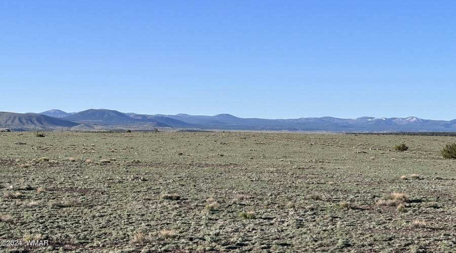 View towards the White Mountains