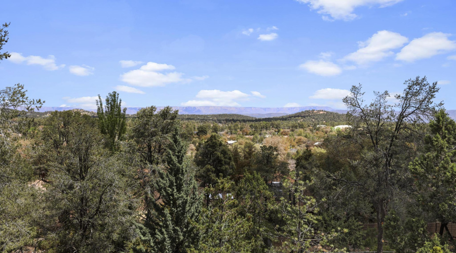 View from living room