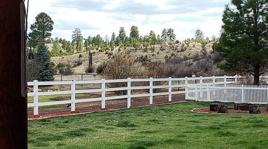 Back Yard View