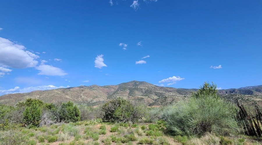 Tonto National Forest across the street