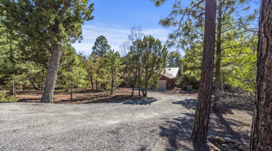 792 Pine Spruce Lane, Pinetop (32)