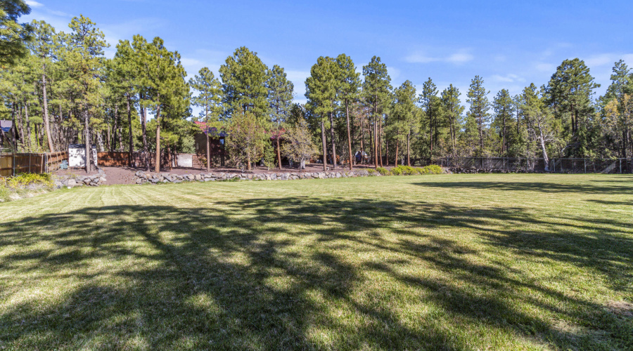 792 Pine Spruce Lane, Pinetop (50)