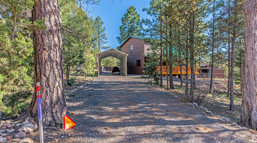 1991 Twin Pines