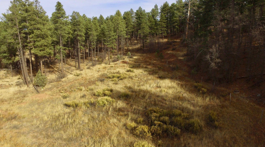 Elevated view looking east