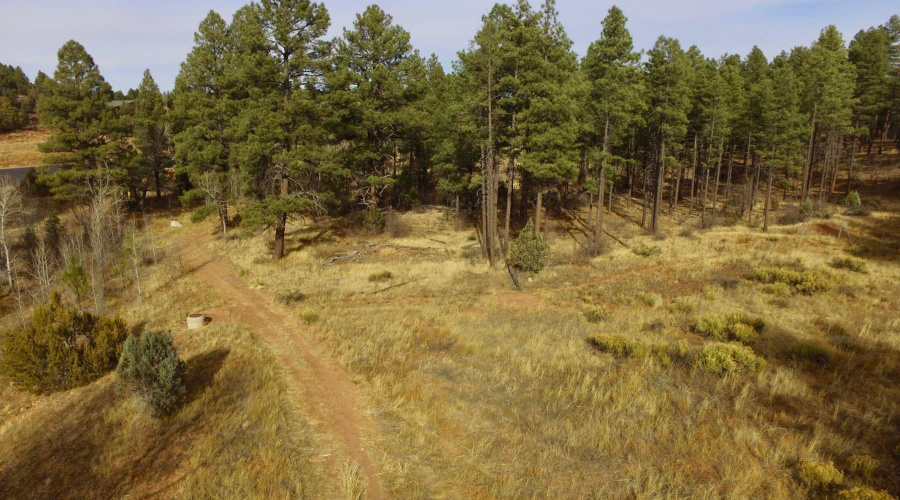 Meadow aerial northeast