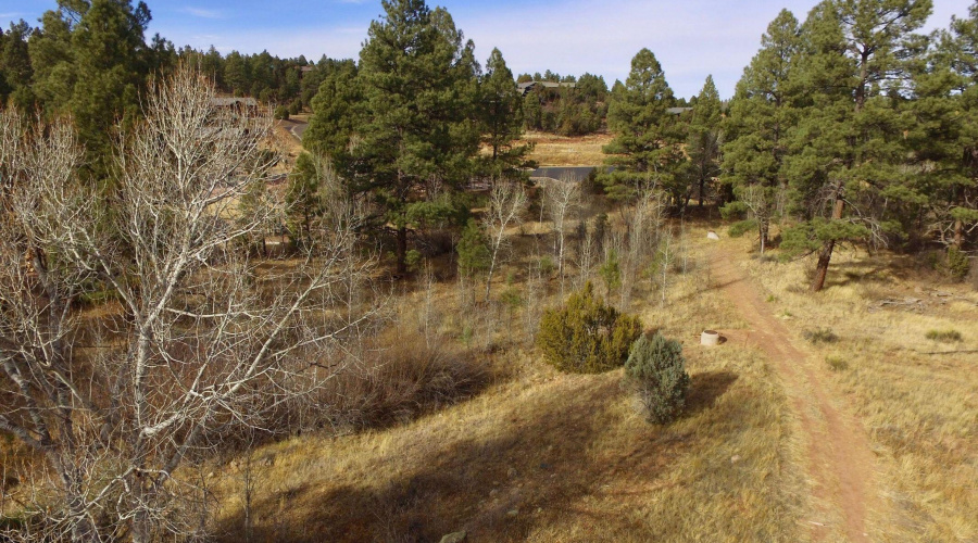 Meadow aerial south