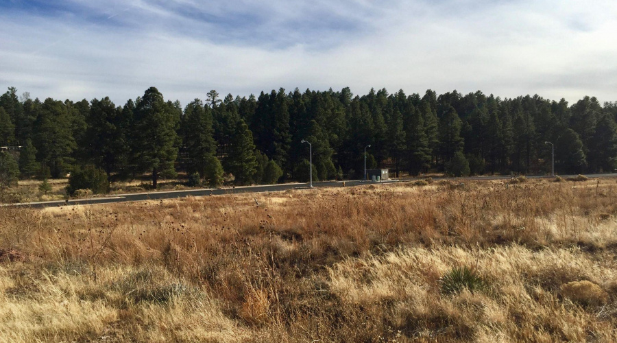 View of property from Bison Ridge