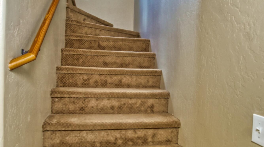 Stairs to main living area