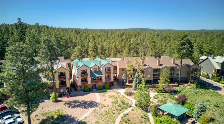 Aerial View of the Subdivision