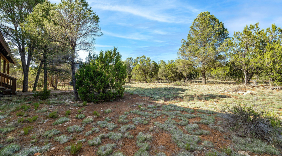 2969LookoutLn-Heber-AZ-27