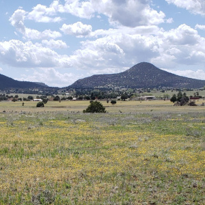 Baker Ranch Rd Knoll View to SW