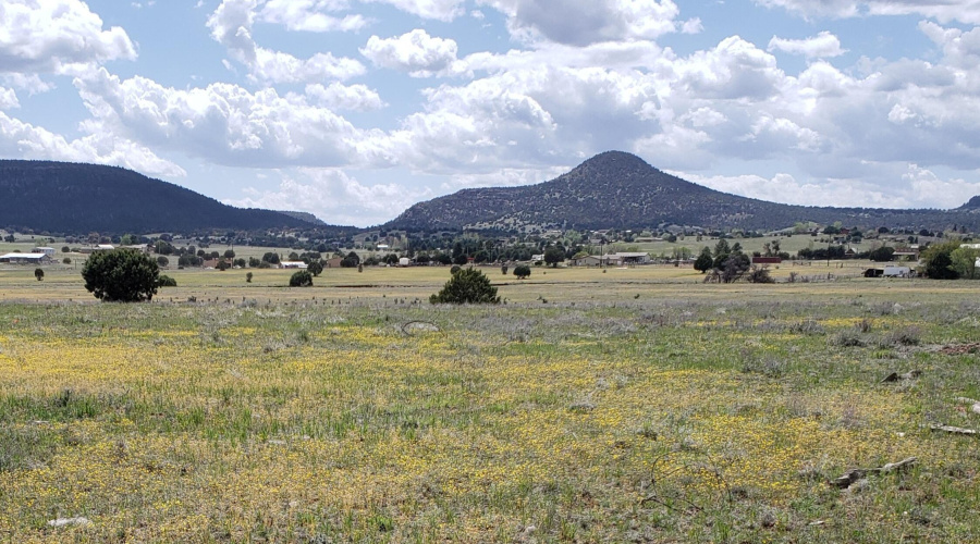 Baker Ranch Rd Knoll View to SW